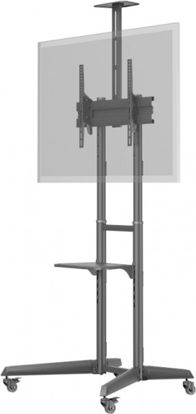 Goobay TV-Präsentationsständer Pro (Größe L) - Halterung für Fernseher und Monitore zwischen 37 und 70 Zoll (94-178 cm) bis 50 kg, neigbar