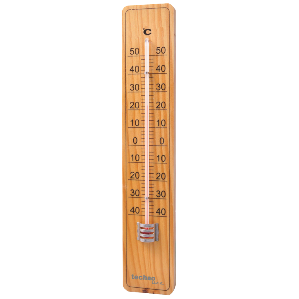 WA 2010 - ThermoMeter
