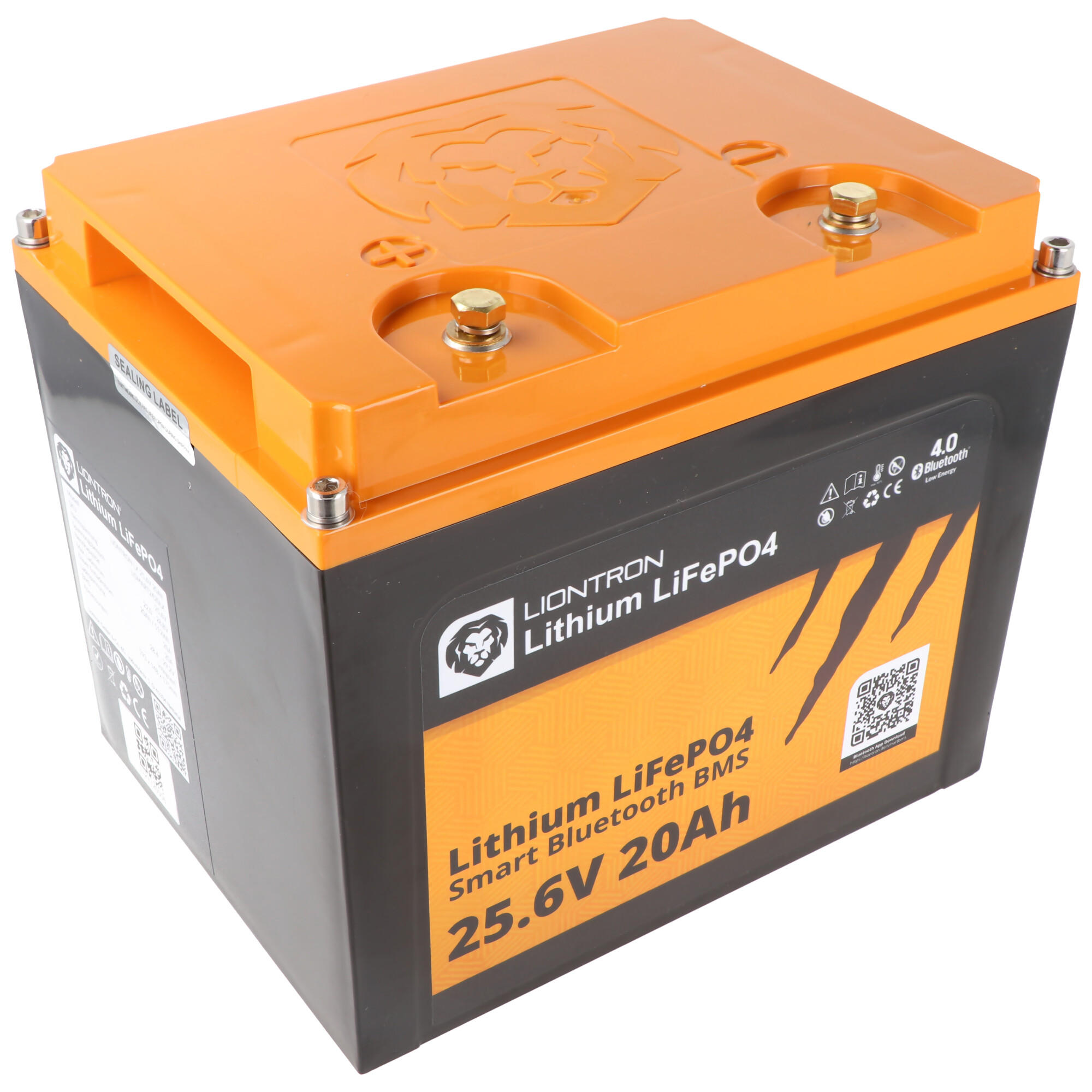 Batterie Liontron Lithium ARTIC -30°C LiFePO4 LX Smart BMS 12,8V 100Ah